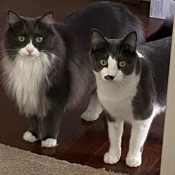 Meet your Posher, Patti - Picture 10 of 10